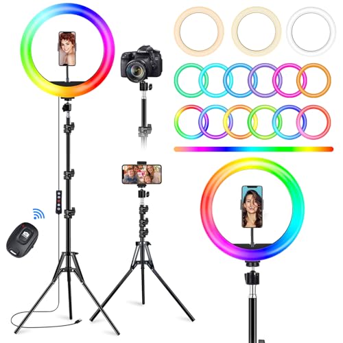 STALLY STALLY 10.2" Ring Light with Stand for for iPhone/TikTok, 75" T — Design and materials in detail